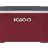 IGLOO Latitude 52QT Cool Box Red 2 IGLOO Latitude 52QT Cool Box Red -Camping Store k0f2e951baeacf3928ea847c824c4b8f0