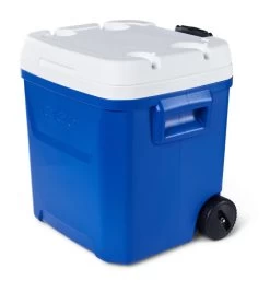 IGLOO Laguna 57L Wheeled Cool Box -Camping Store k9b668a31c79b800fcffa8bf58577c0e8