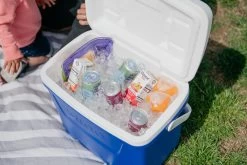 IGLOO Laguna 28QT Cool Box Red -Camping Store kb309529a331bee3c9613a50999a7df51